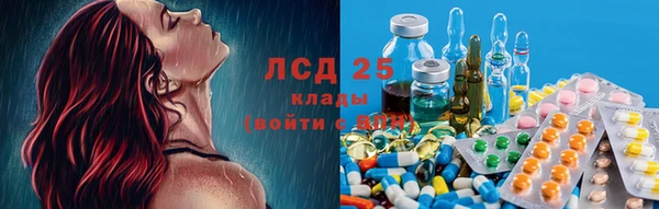 сатива Нефтекумск