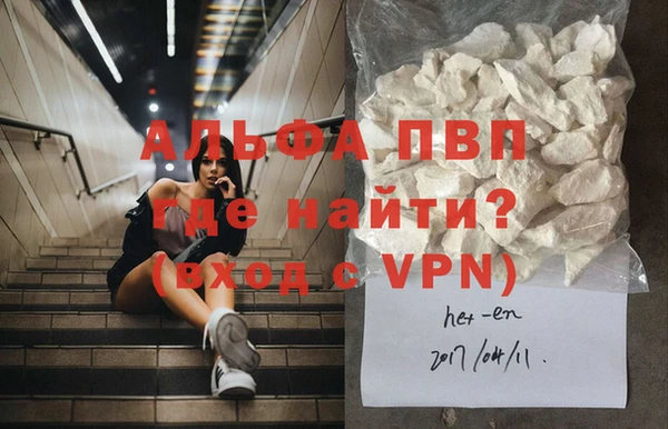 сатива Нефтекумск