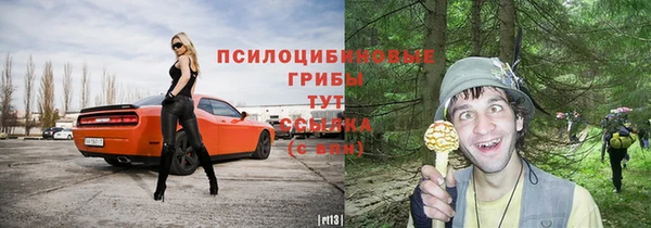 а пвп мука Нея