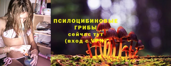 а пвп мука Нея