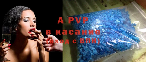 сатива Нефтекумск