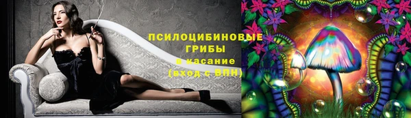 а пвп мука Нея