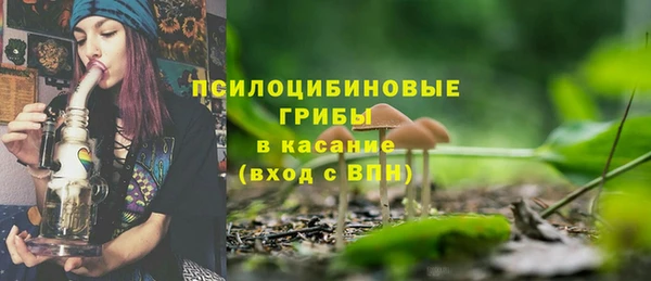 сатива Нефтекумск