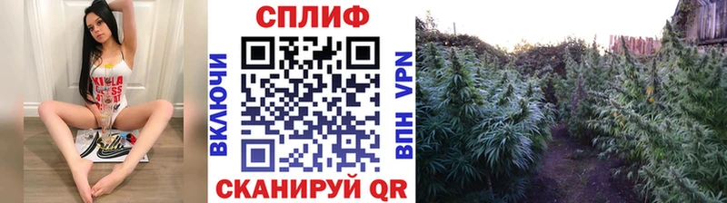 дарк нет Telegram  Калининск  МАРИХУАНА ГИДРОПОН  кракен ссылки 